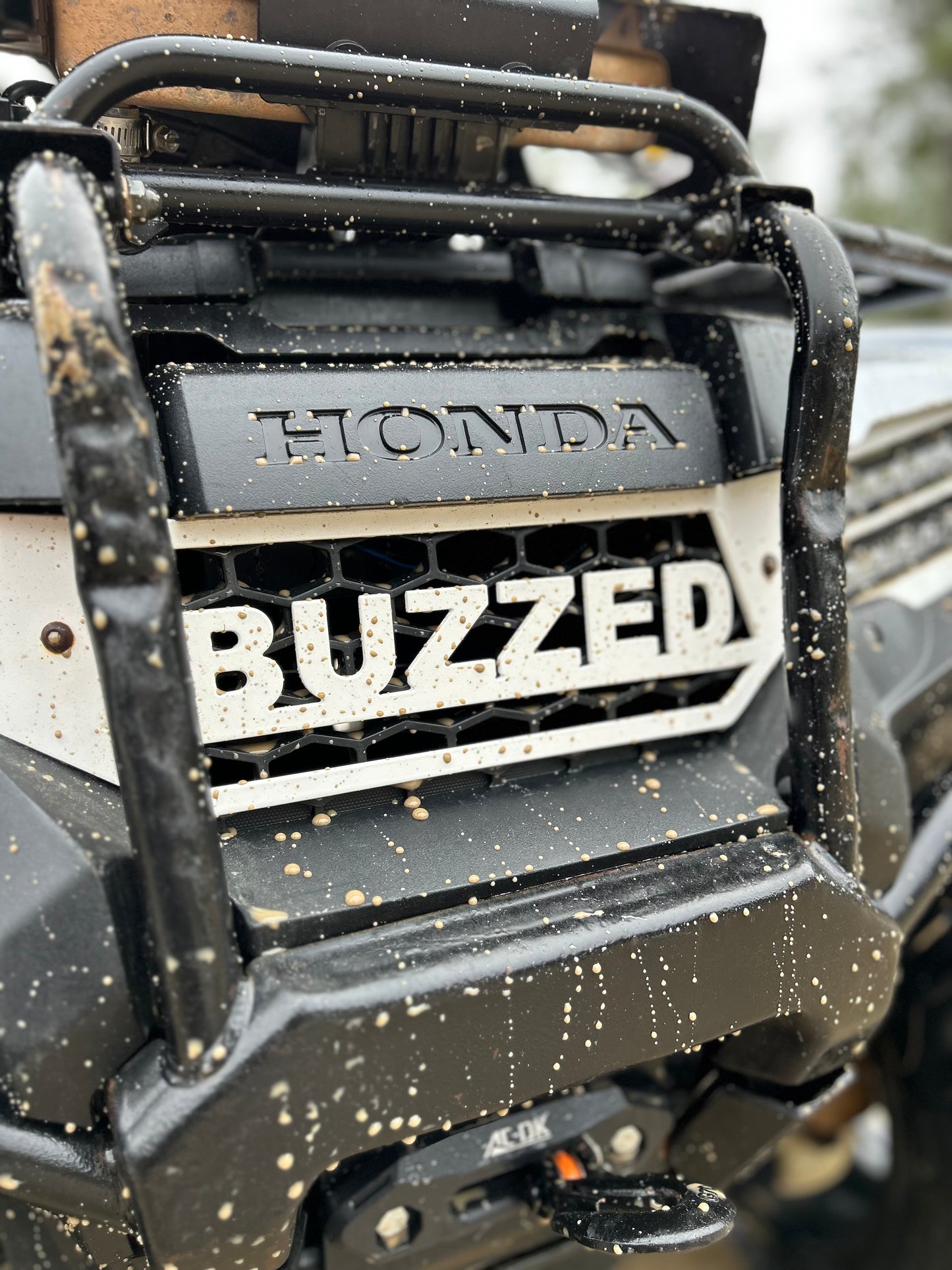 CUSTOM "BUZZED" 420 500 GRILL