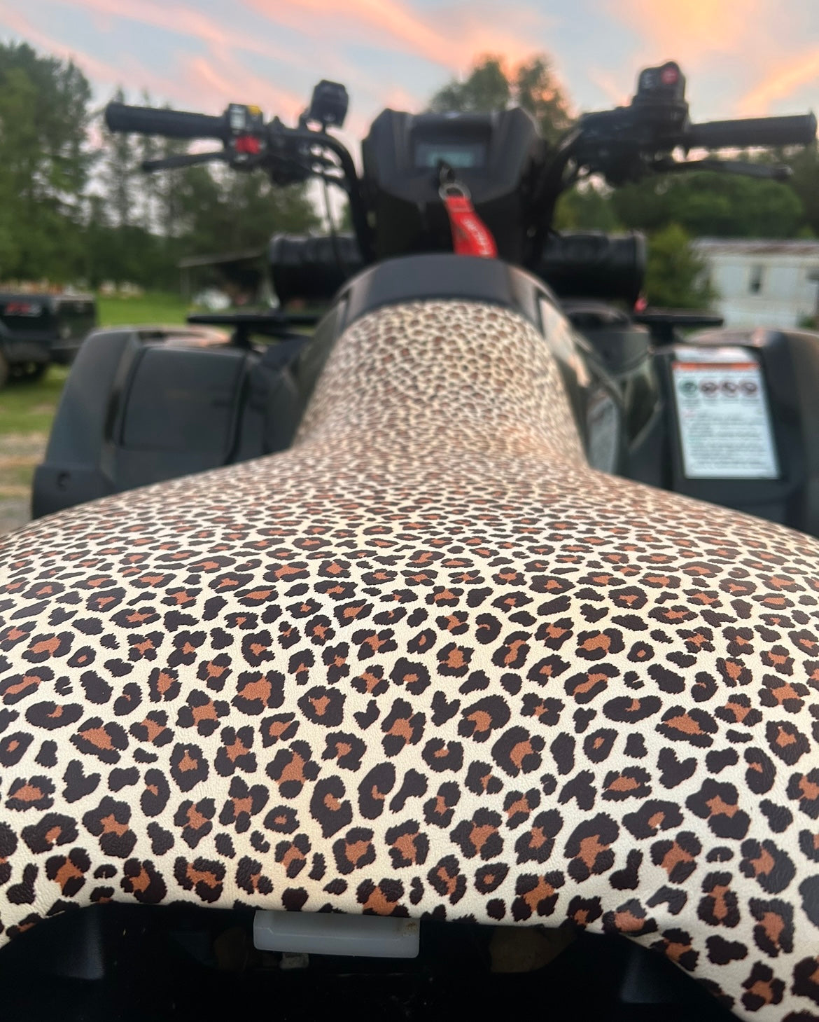 Princess Butt Pad